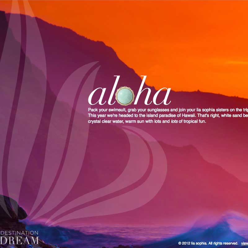 Hawaii html