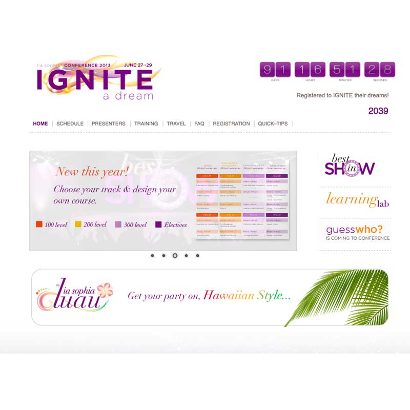 Ignite website